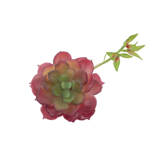 Flora Bunda&#xAE; Red Echeveria Lola Succulent Pick, 6ct.